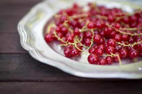 Red currants Stock Photos