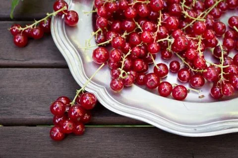 Red currants Stock Photos