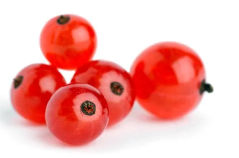 Red currants Stock Photos