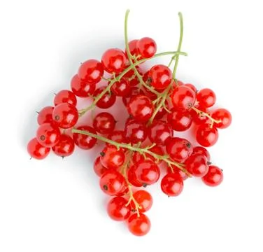 Red currants Stock Photos