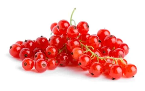 Red currants Stock Photos