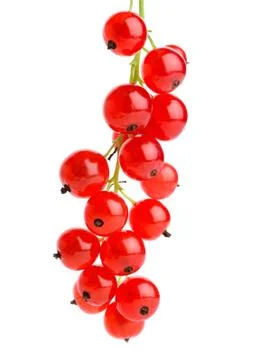 Red currants Stock Photos