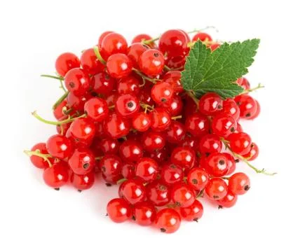 Red currants Stock Photos