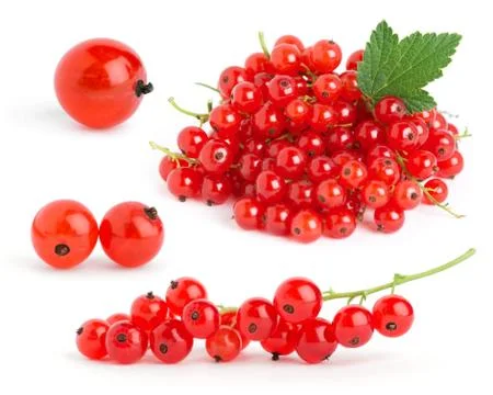 Red currants Stock Photos