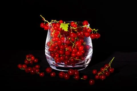 Red currants Stock Photos