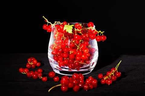 Red currants Stock Photos