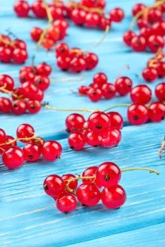 Red currants Stock Photos