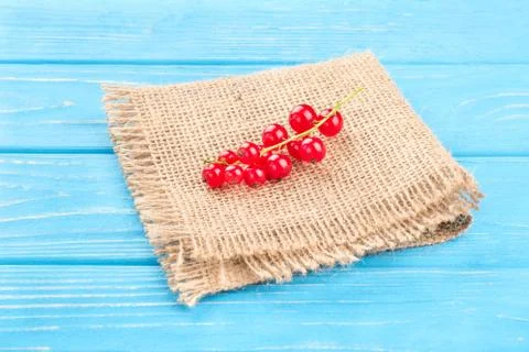 Red currants Stock Photos