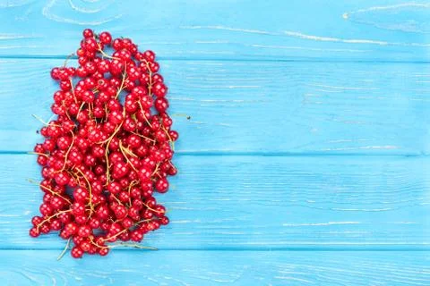 Red currants Foto stock