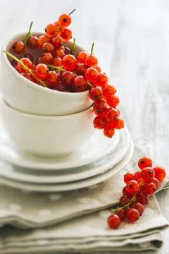 Red currants Stock Photos