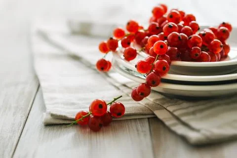 Red currants Stock Photos