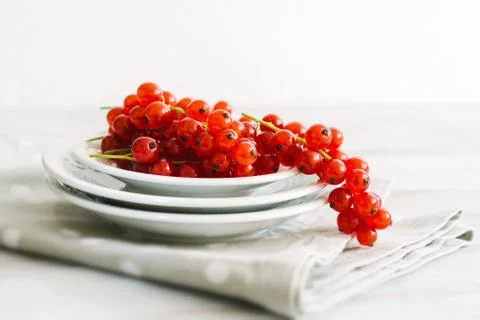 Red currants Stock Photos