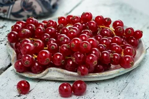 Red currants Stock Photos