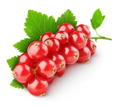 Red currants Stock Photos