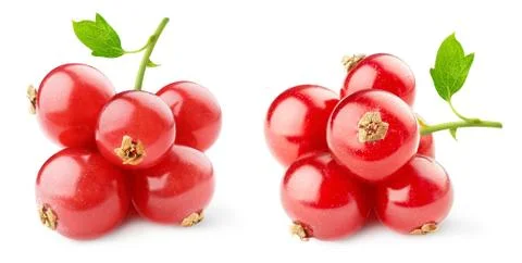 Red currants Foto stock