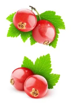Red currants Stock Photos