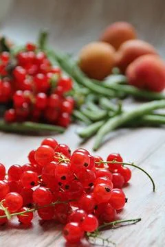Red currants Stock Photos