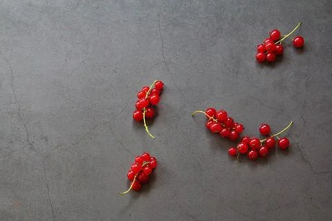 Red currants Stock Photos