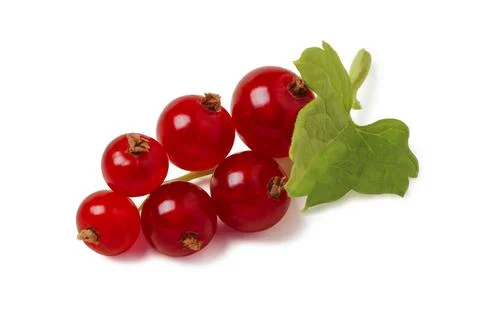 Red currants Stock Photos