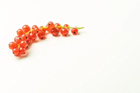 Red currants on a table Stock Photos