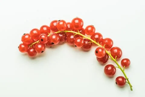 Red currants on a table Stock Photos