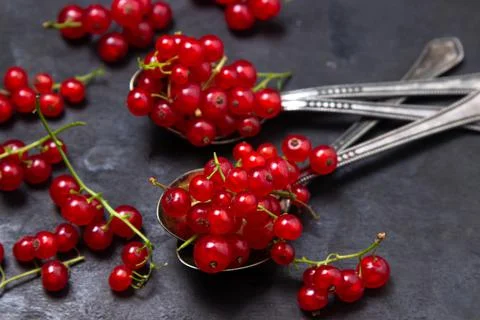 Red currants in a teaspoon on a black background. Lots of ripe red currants Stock Photos