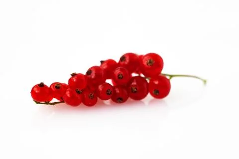 Red currants on white background macro Foto stock