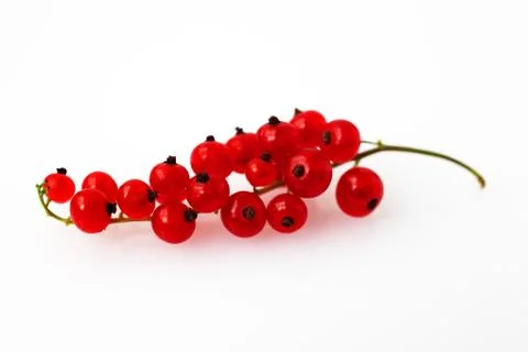 Red currants on white background macro Stock Photos