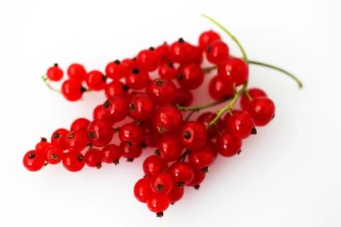 Red currants on white background macro Stock Photos