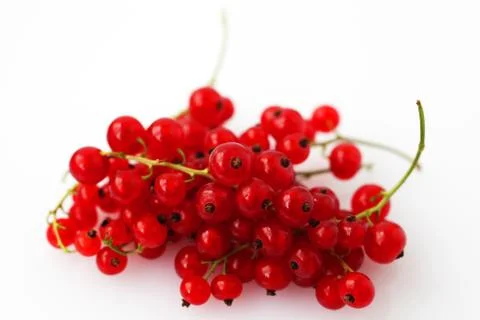 Red currants on white background macro Foto stock
