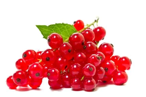 Red currants on a white background. Stock Photos