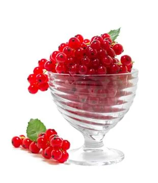 Red currants on a white background. Stock Photos