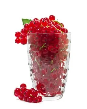 Red currants on a white background. Stock Photos