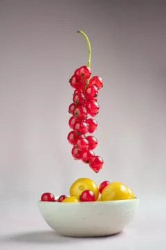 Red current berry in a flying levitation with clean background. Ripe physalis Stock Photos