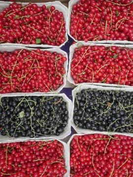 Red current market Stock Photos