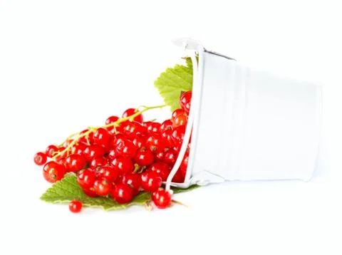 Red current Stock Photos