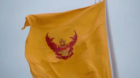 Red dancing Garuda on yellow background depicted on King's Standard of Thailand Stock Footage 305679012