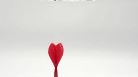 Red dart falling through water isolated on white game dart Stock Footage 219520777