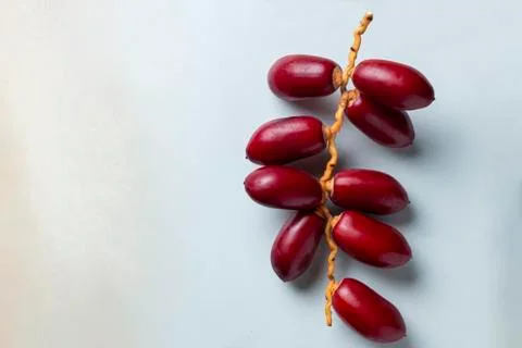 Red dates fruit on white background Stock Photos