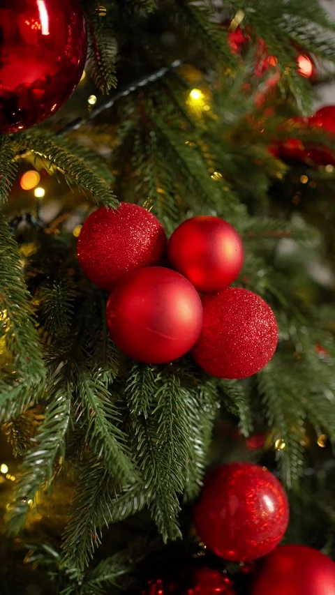 Red decorations on Christmas tree with festive lights. Concept of Christmas tree Stock Footage 292432192