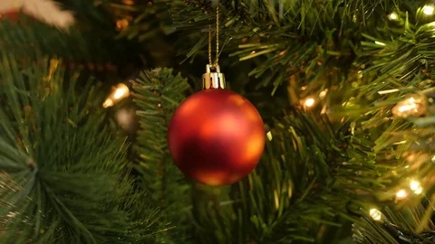 Red decorative bauble on the branch Stock Footage 84091312