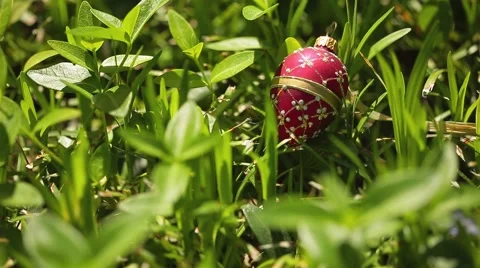 Red Decorative Easter Egg in Grass (Pysanky or Pisanka) Stock Footage 50613337