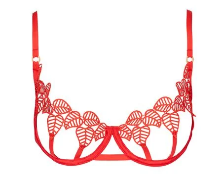 Red Decorative Womans Bra with Leaf Pattern Stock Photos