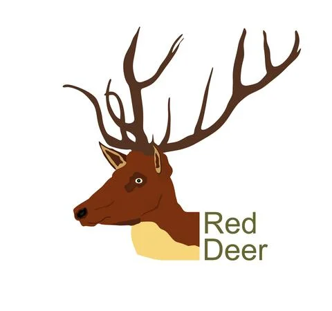 Red deer head vector illustration isolated on white background Stock Illustration