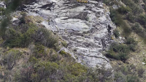 Red deer in the mountains rut mating season Stock-Footage 122024265