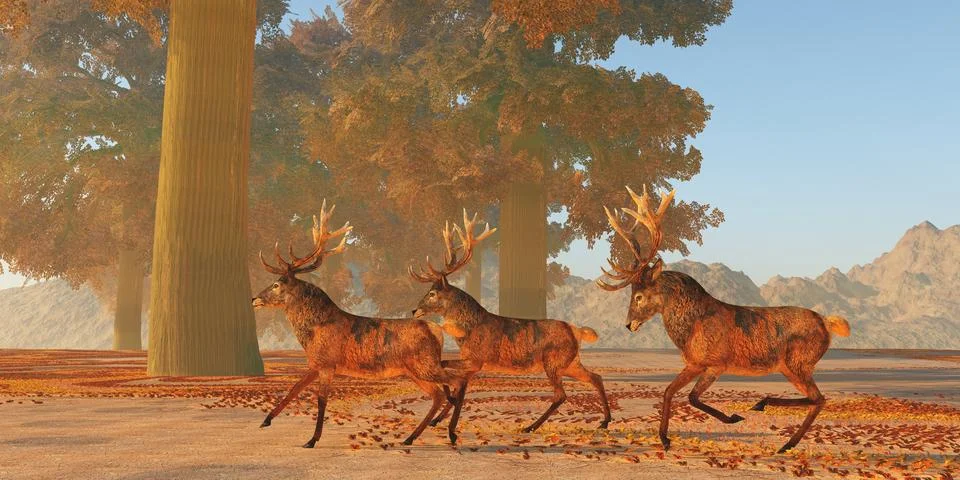 Red Deer Run Stock Illustration