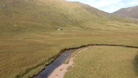 Red Deer In The Scottish Highlands Surrounded By Beautiful Landscape Stock Footage 139831894