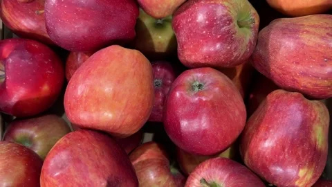 Red Delicious apples arranged on fruit stand Stock Footage 295384669