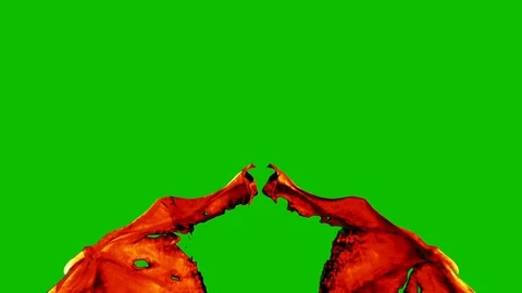 Red Demon Devil Wings Green Screen Front 3D Renderings Animations Stock Footage 85509542