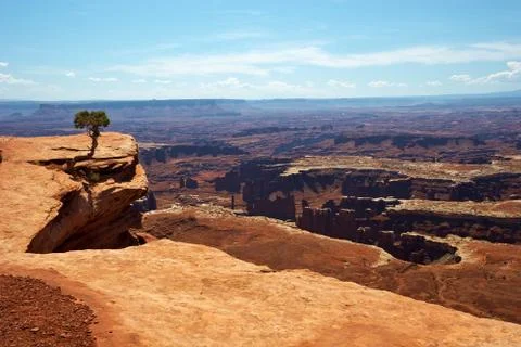 Red desert Stock Photos